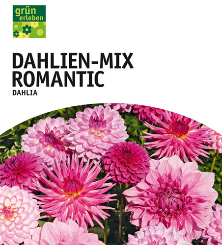 Dahlien Mischung Romantic x5