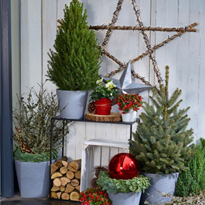TO-DO's IM DEZEMBER TO-DO's IM DEZEMBER