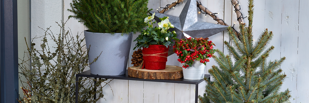 TO-DO's IM DEZEMBER
