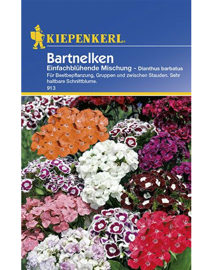 Bartnelken "Einfach blühende Mischung"