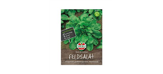 SPERLI Samen Feldsalat 'Verte de Cambrai'