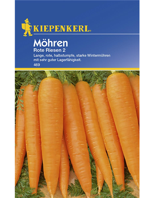 Möhren rote Riesen 2n