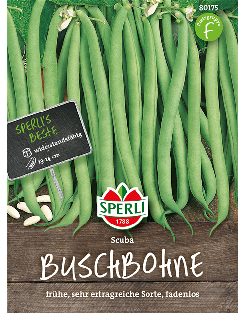 Buschbohne Scuban
