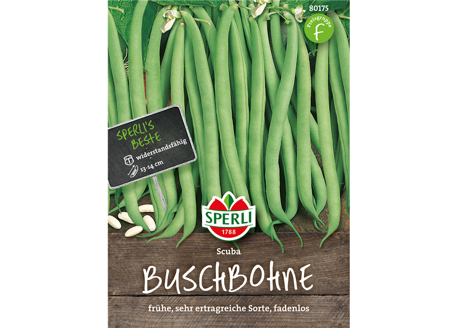Buschbohne Scuban