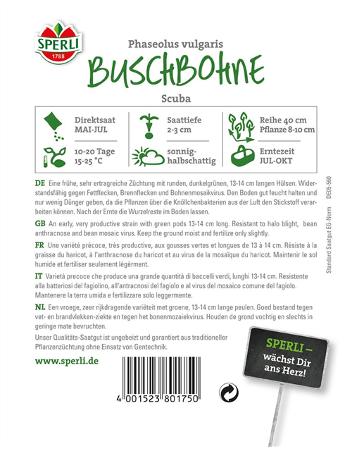 Buschbohne Scuban