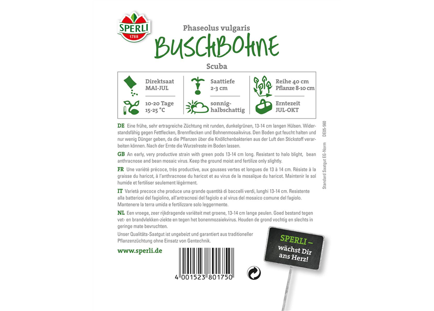 Buschbohne Scuban