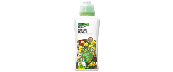 PFLANZE DES MONATS MAI: ZAUBERGLÖCKCHEN