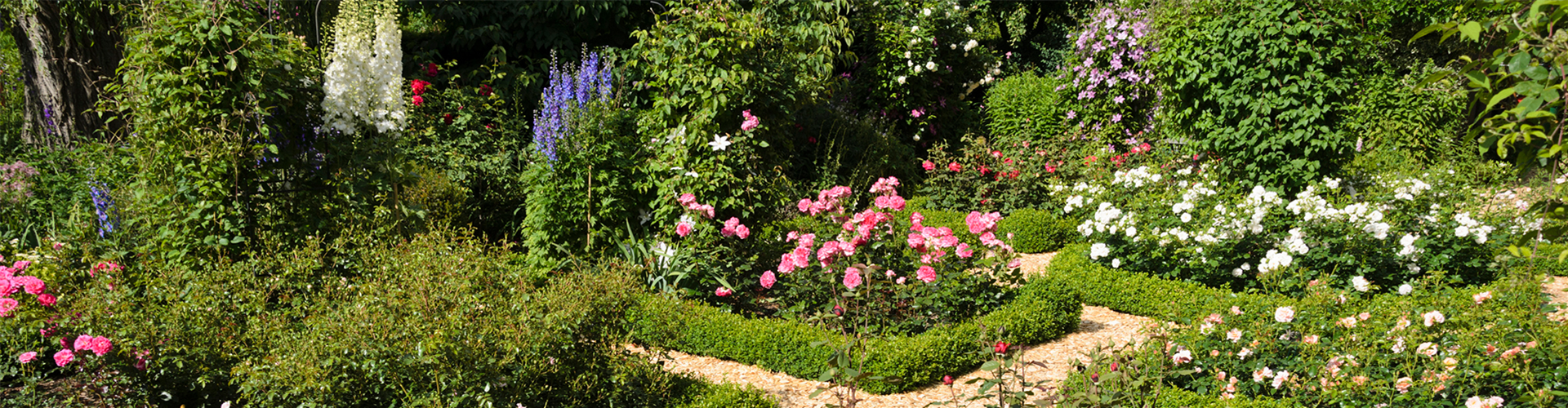 ROSEN & IHRE BEGLEITER!