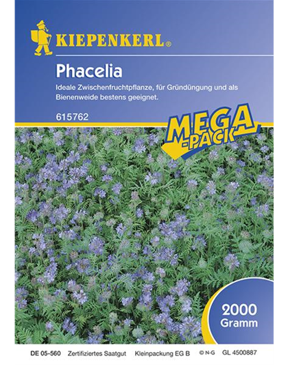 Kiepenkerl Phacelia 1kg