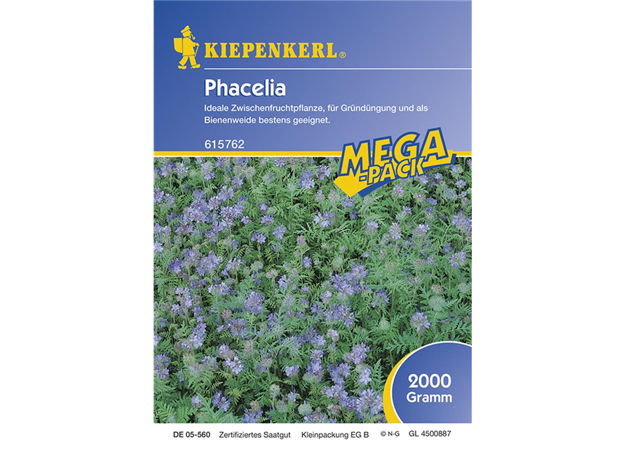 Phacelia 50 g