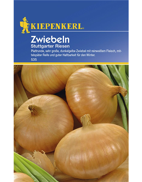 Zwiebeln Stuttg.Riesen nPG C