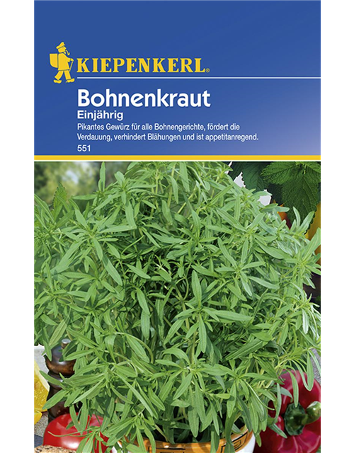 Bohnenkraut Einjährig