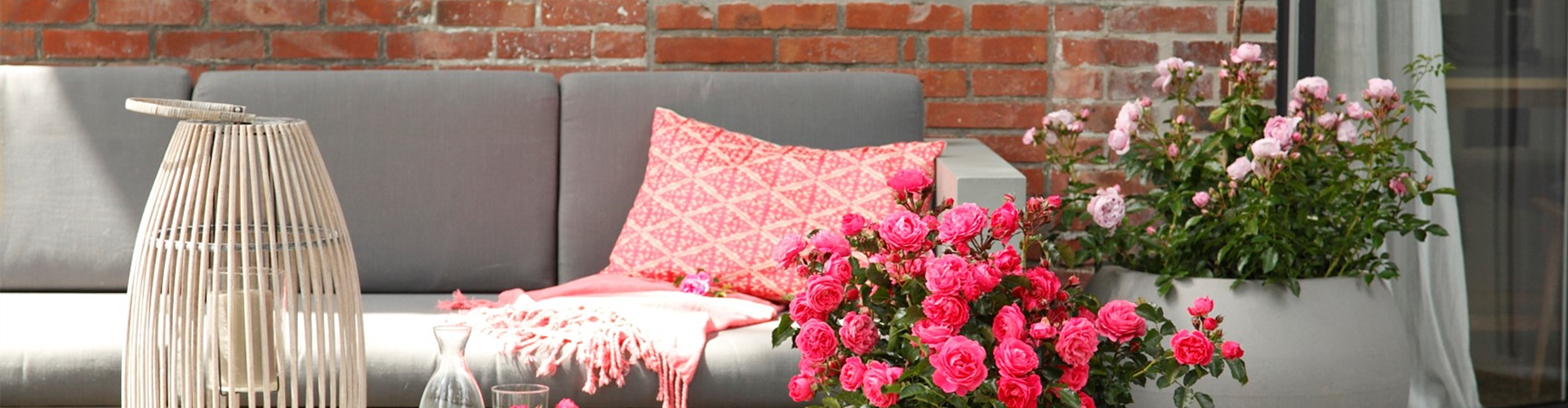DIE ROSE!