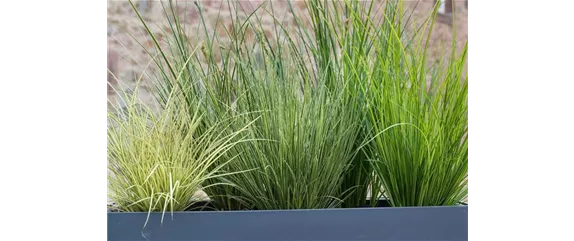 TERRASSENTRENDS IM HERBST