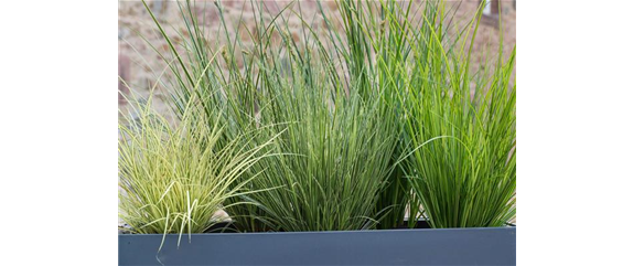 TERRASSENTRENDS IM HERBST