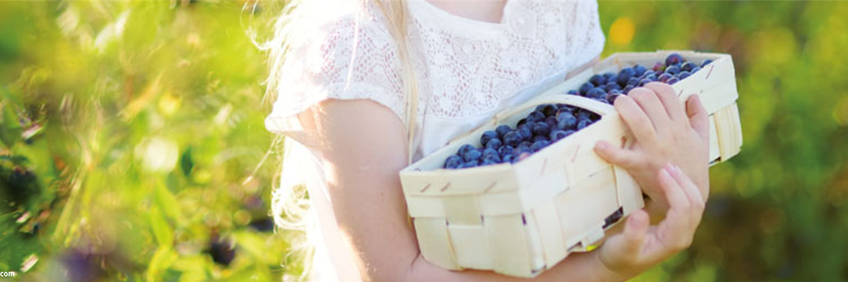 GESUND UND LECKER! GESUND UND LECKER!