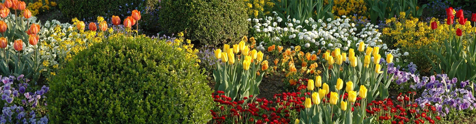 EINE TüTE VOLL FRüHLING!