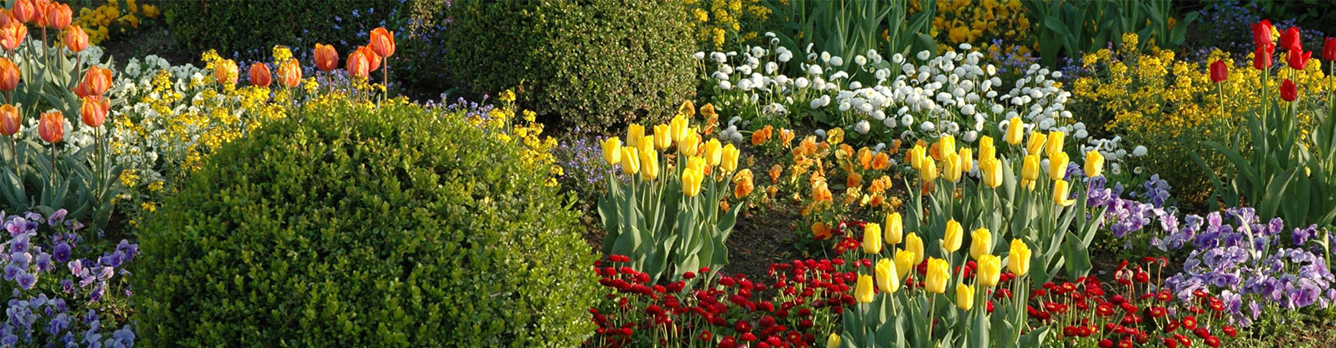 EINE TüTE VOLL FRüHLING!