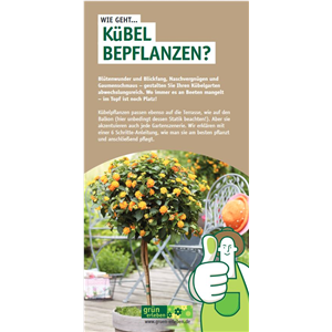 WIE GEHT... KüBEL BEPFLANZEN?