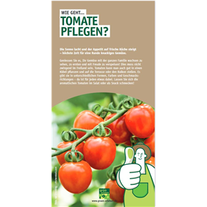 WIE GEHT... TOMATEN PFLEGEN?