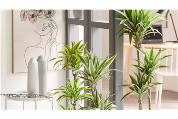 GRÜNES UPDATE FÜR DEIN HOMEOFFICE! GRÜNES UPDATE FÜR DEIN HOMEOFFICE!