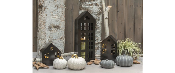 EIN KUNTERBUNTER HERBST!