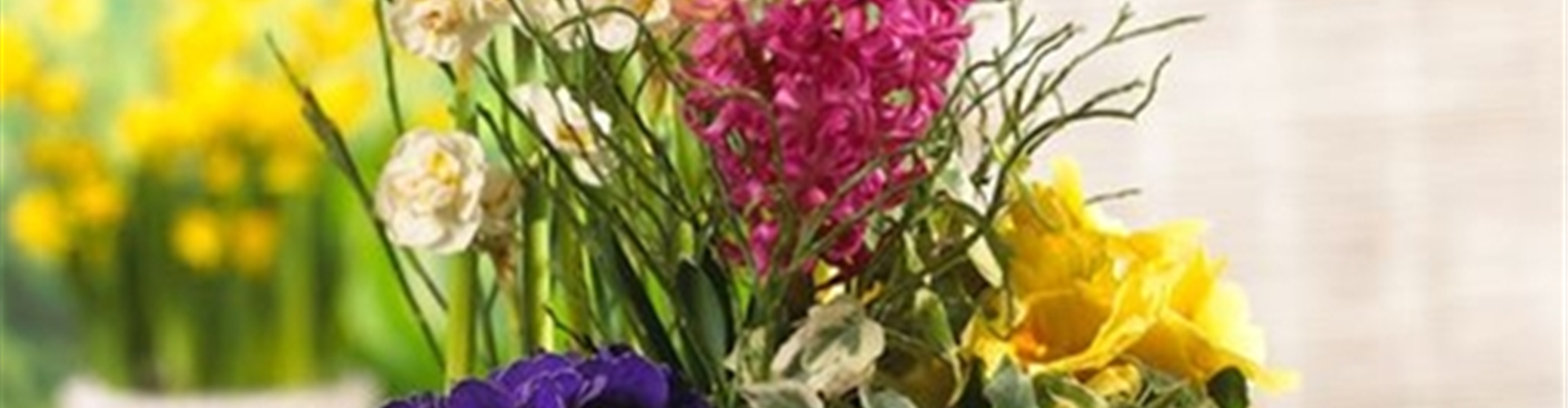 PFLANZIDEEN: FRüHLINGSBLüHER