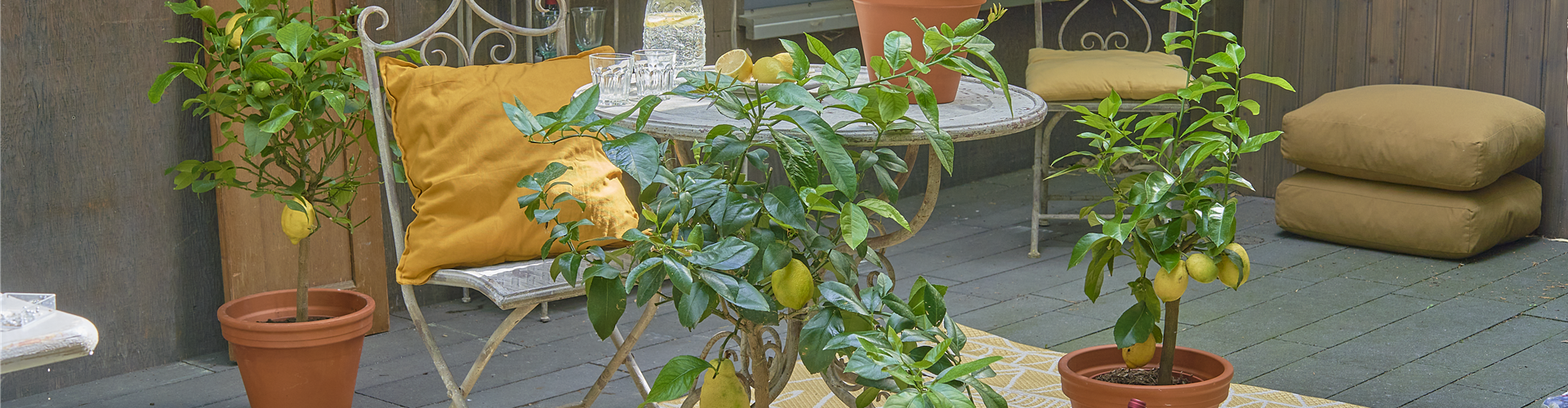 EIN GANZ BESONDERER DUFT LIEGT IN DER FRüHLINGSLUFT!