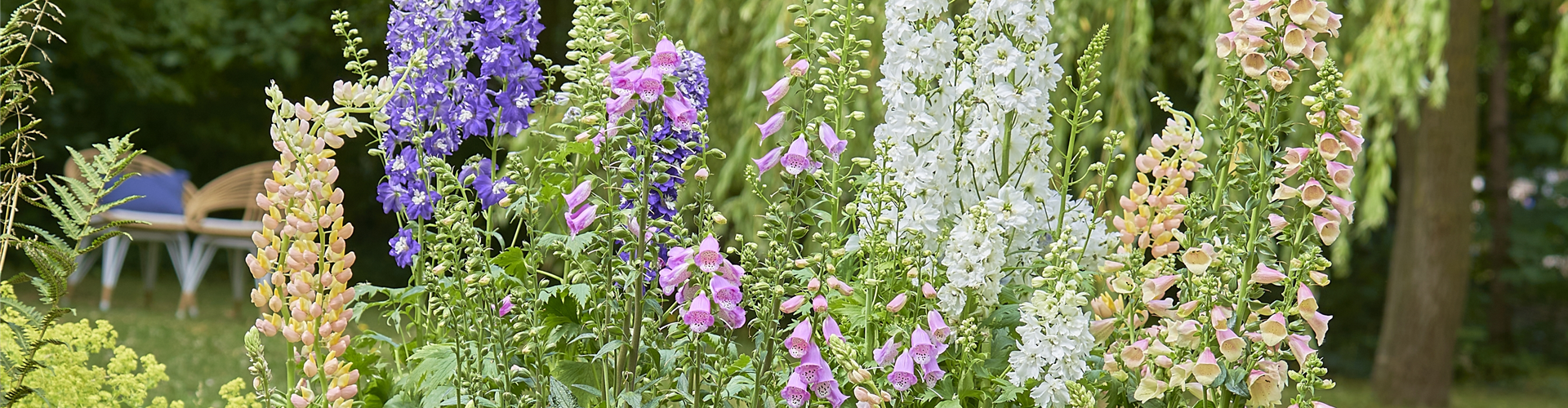 SONNENGARTEN! 