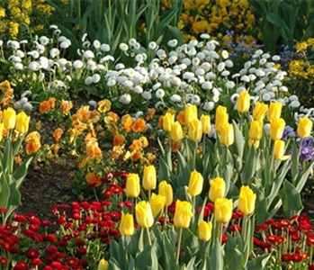 EINE TüTE VOLL FRüHLING!