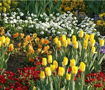 EINE TüTE VOLL FRüHLING!