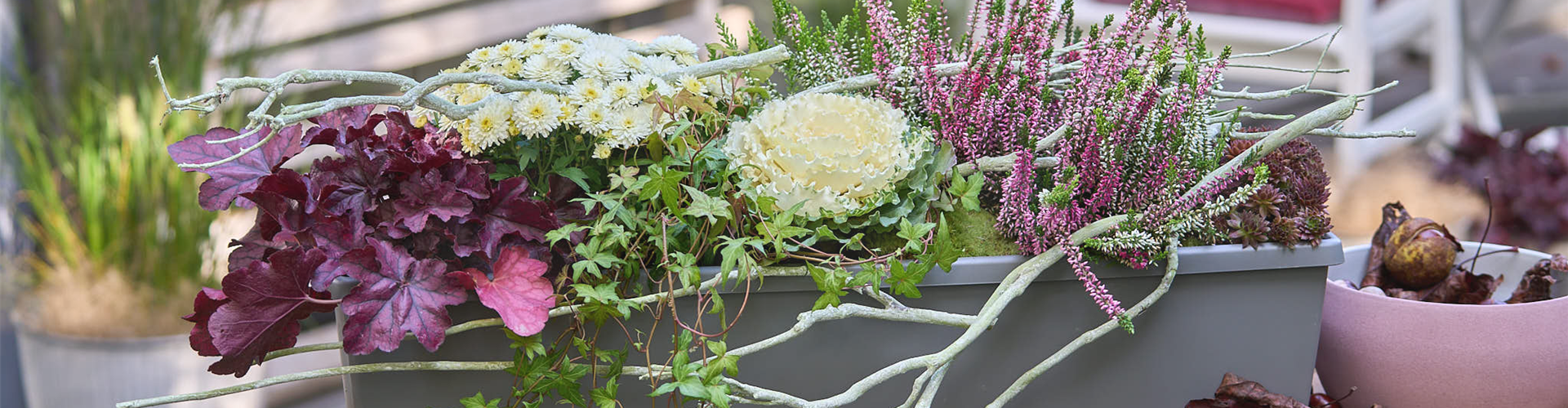 BUNT, BUNTER, HERBST!