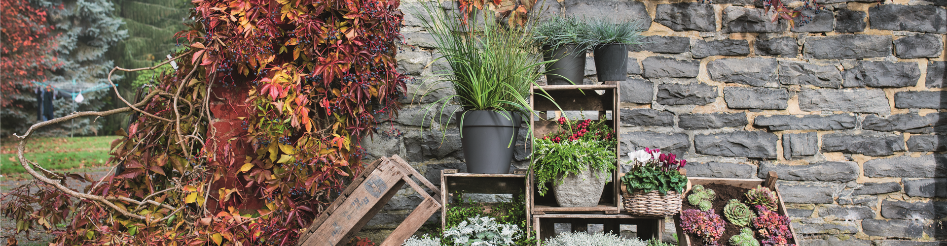 WIR SIND FEUER & FLAMME! 