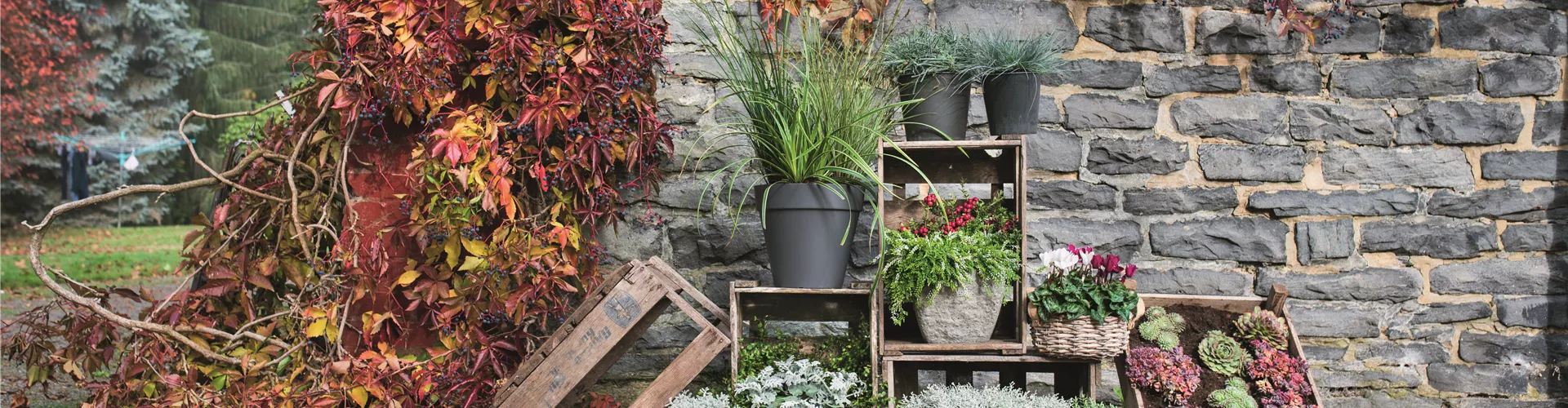 WIR SIND FEUER & FLAMME! 