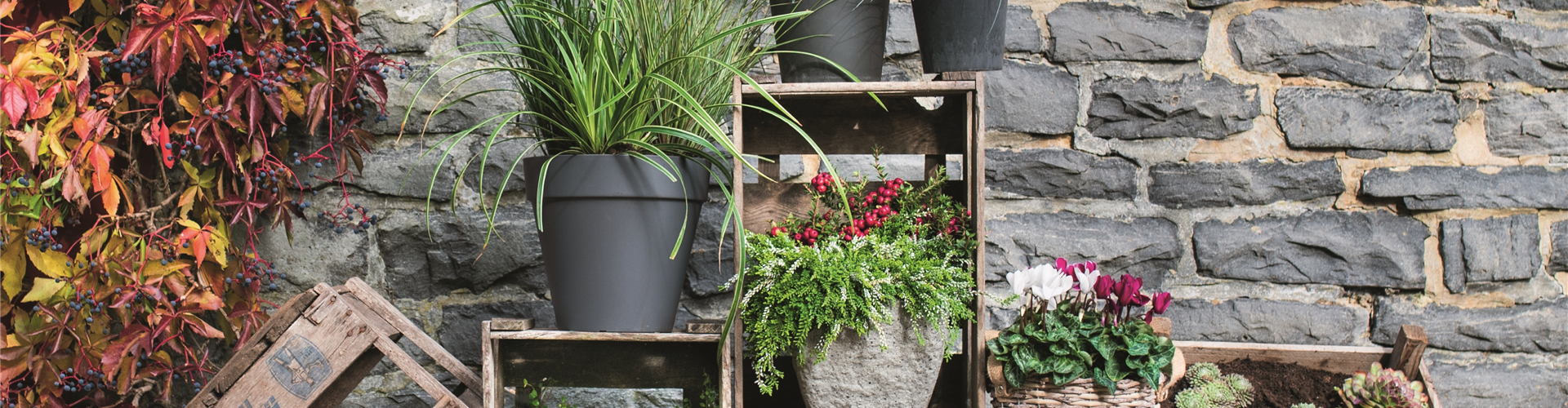 WIR SIND FEUER & FLAMME! 