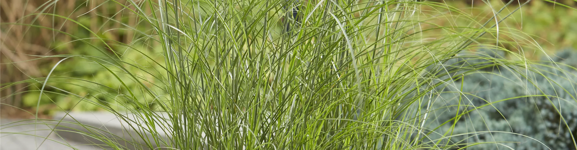 DER HERBST STEHT VOR DER TÜR! 