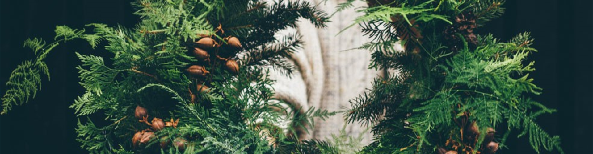 ADVENT, ADVENT – EIN KERZLEIN BRENNT!