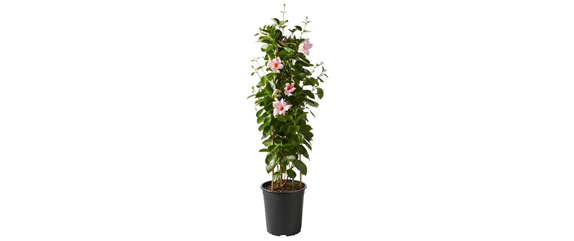 BLüHENDES MAKE OVER! 