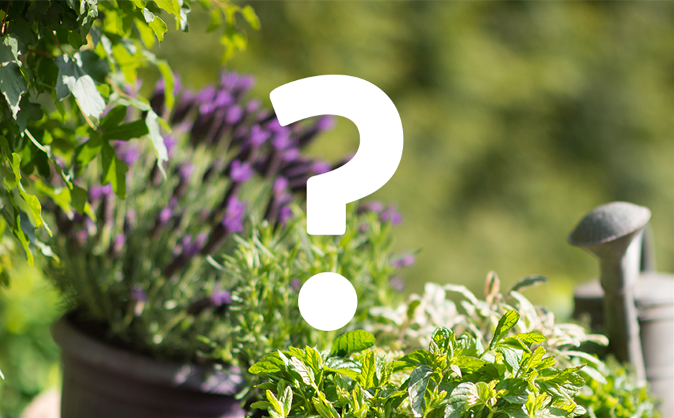 Nutzen Sie unseren Service! - Sie haben eine Frage?