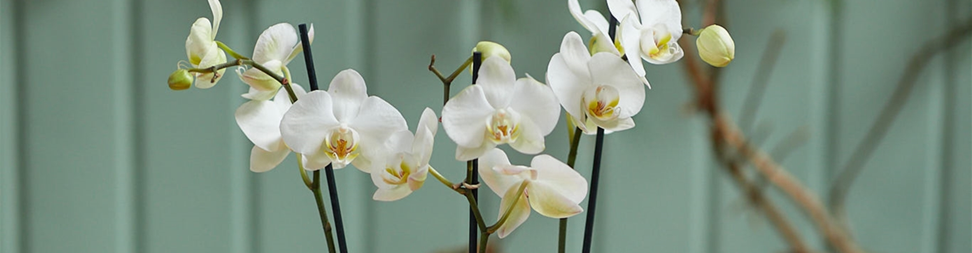 MODERNE WEIHNACHTEN! 