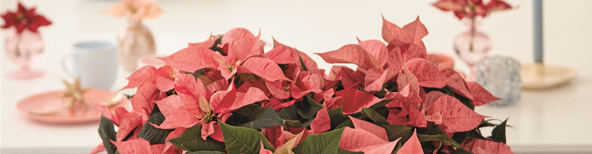 KLASSISCHE WEIHNACHTEN!