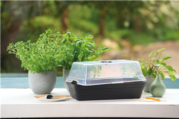 PLATZ DA AUF DER FENSTERBANK!