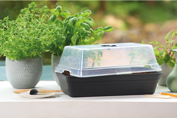 PLATZ DA AUF DER FENSTERBANK!