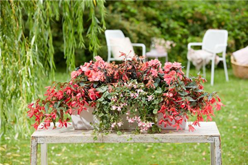 IM TREND: BALKON!