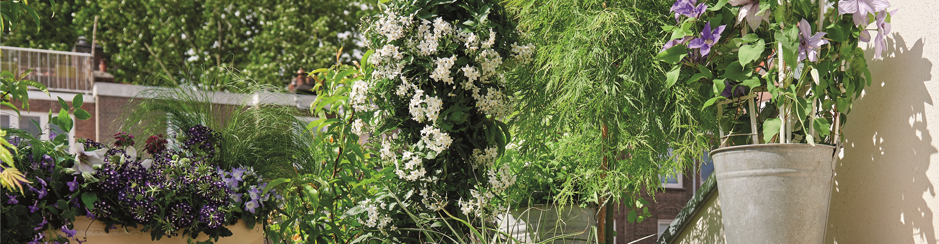 BLüHENDES MAKE OVER! 