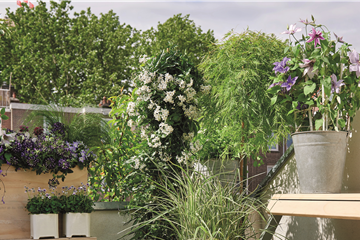 BLüHENDES MAKE OVER! 