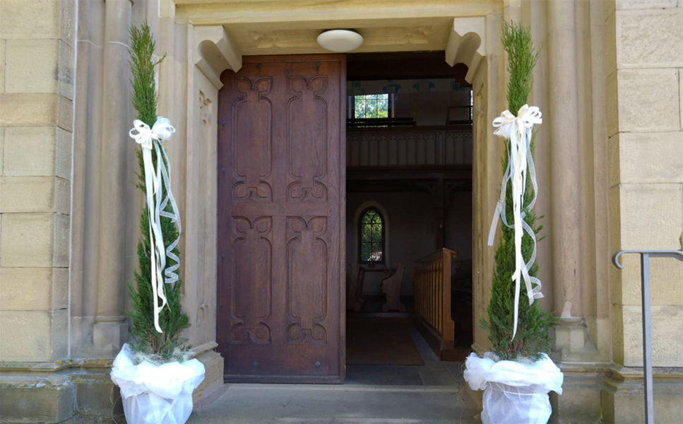 Leihgebühren für Grünpflanzen - Tolle Pflanzen für Deine Feier! Leihgebühren für Grünpflanzen - Tolle Pflanzen für Deine Feier!