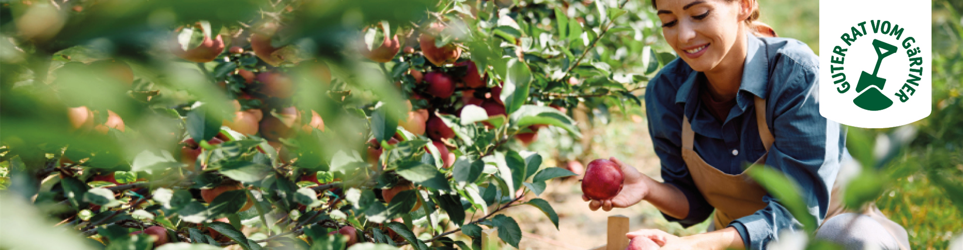 OBSTGARTEN!