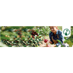 OBSTGARTEN!