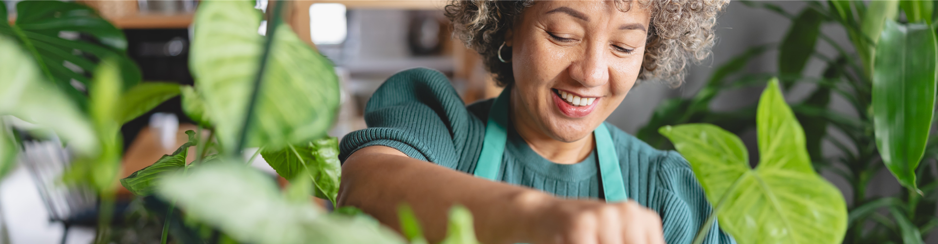 Buch des Monats: Dezember!